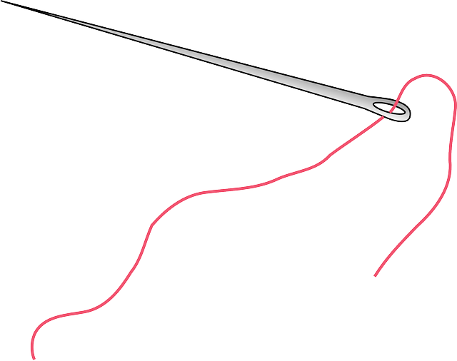 Orratza, bat bakarrik duenari galtzen zaio (PixabayCC, nemo)